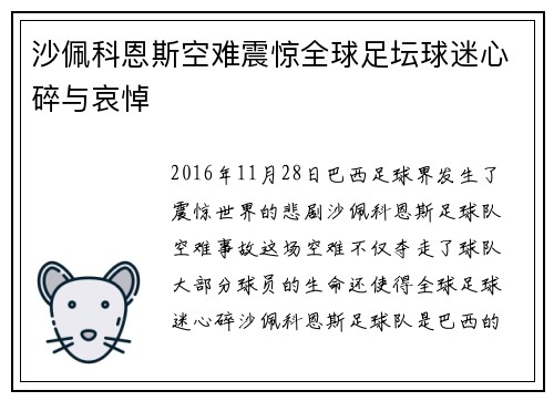 沙佩科恩斯空难震惊全球足坛球迷心碎与哀悼 沙佩科恩斯空难震惊全球足坛球迷心碎与哀悼